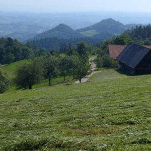 Planinska pot čez Kozjak: Dravograd—Maribor  